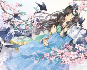 福建兄妹 小表妹 紫色面具